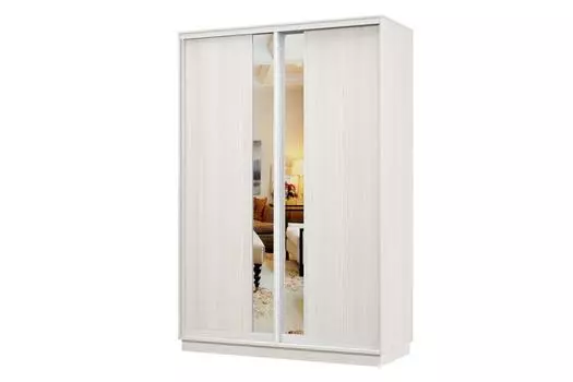 Шкаф-купе 2-дверный Практик Мини