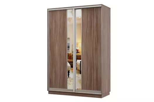 Шкаф-купе 2-дверный Практик Мини