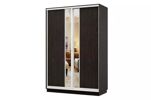 Шкаф-купе 2-дверный Практик Мини