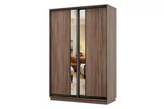 Шкаф-купе 2-дверный Практик Мини