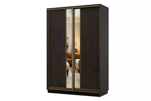 Шкаф-купе 2-дверный Практик Мини