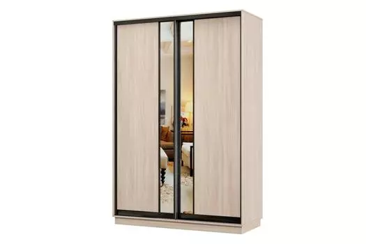 Шкаф-купе 2-дверный Практик Мини