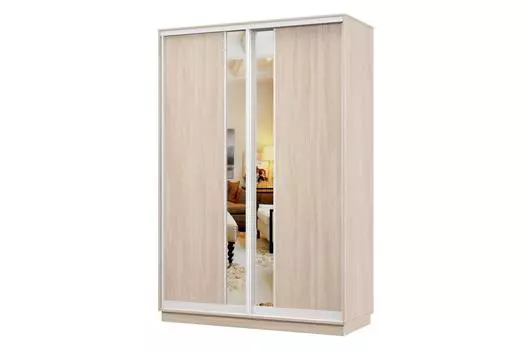 Шкаф-купе 2-дверный Практик Мини