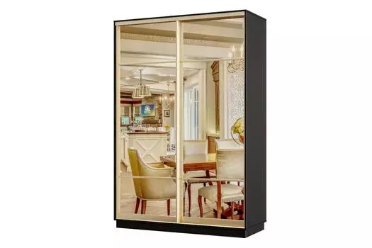 Шкаф-купе 2-дверный Практик Мини