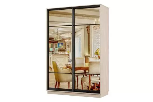 Шкаф-купе 2-дверный Практик Мини