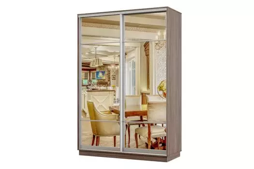 Шкаф-купе 2-дверный Практик Мини