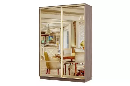 Шкаф-купе 2-дверный Практик Мини