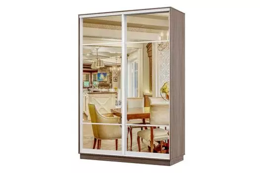 Шкаф-купе 2-дверный Практик Мини