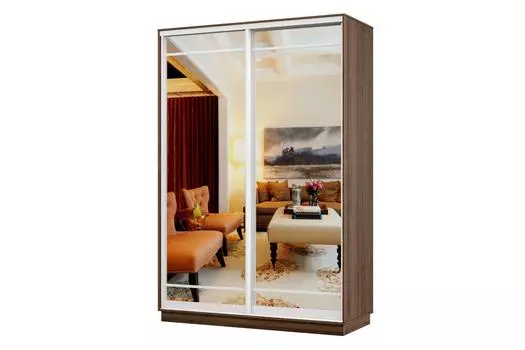 Шкаф-купе 2-дверный Практик Мини