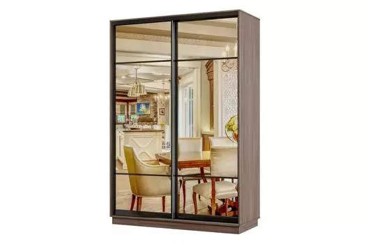 Шкаф-купе 2-дверный Практик Мини