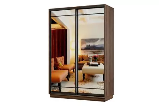 Шкаф-купе 2-дверный Практик Мини