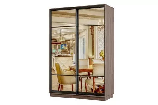 Шкаф-купе 2-дверный Практик Мини