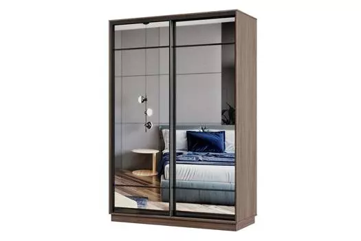 Шкаф-купе 2-дверный Практик Мини