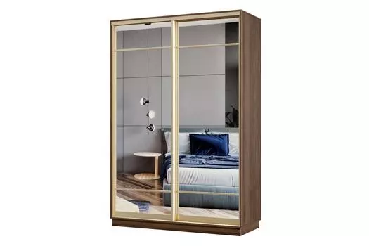 Шкаф-купе 2-дверный Практик Мини