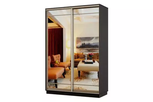 Шкаф-купе 2-дверный Практик Мини