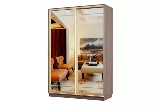 Шкаф-купе 2-дверный Практик Мини