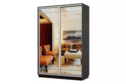 Шкаф-купе 2-дверный Практик Мини