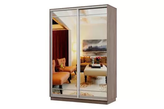 Шкаф-купе 2-дверный Практик Мини