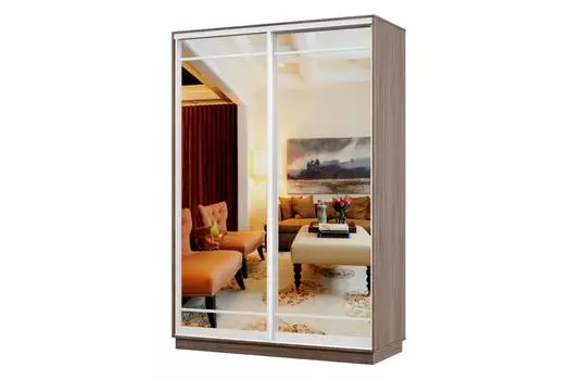 Шкаф-купе 2-дверный Практик Мини