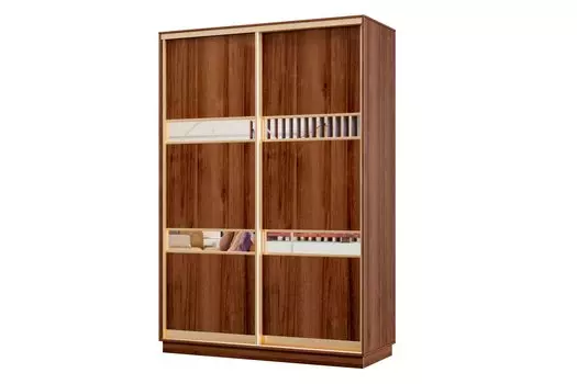 Шкаф-купе 2-дверный Практик МИНИ