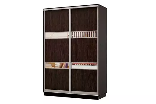 Шкаф-купе 2-дверный Практик МИНИ