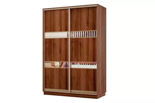 Шкаф-купе 2-дверный Практик МИНИ