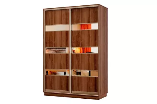 Шкаф-купе 2-дверный Практик МИНИ