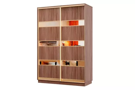 Шкаф-купе 2-дверный Практик МИНИ