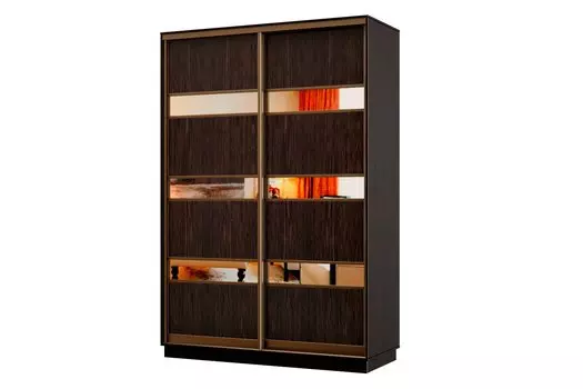 Шкаф-купе 2-дверный Практик МИНИ