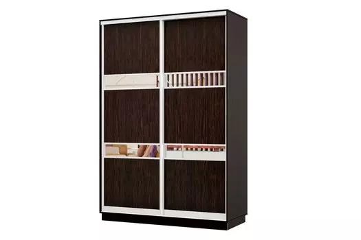 Шкаф-купе 2-дверный Практик МИНИ