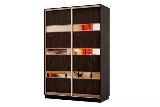 Шкаф-купе 2-дверный Практик МИНИ