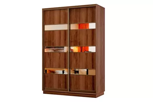 Шкаф-купе 2-дверный Практик МИНИ