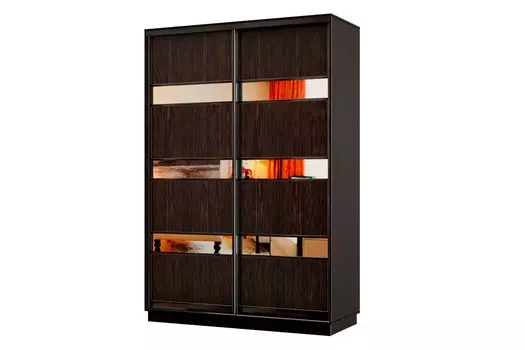 Шкаф-купе 2-дверный Практик МИНИ