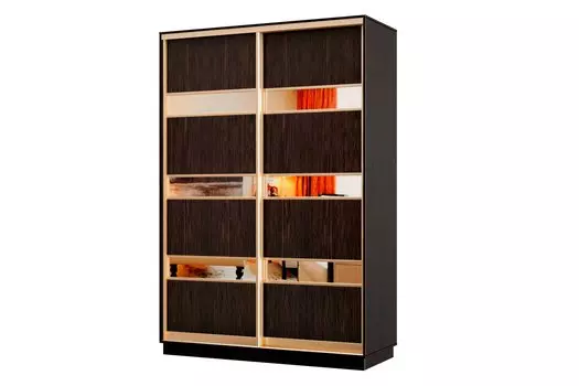 Шкаф-купе 2-дверный Практик МИНИ