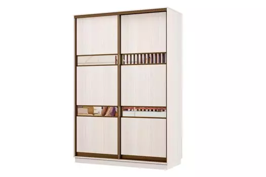 Шкаф-купе 2-дверный Практик МИНИ