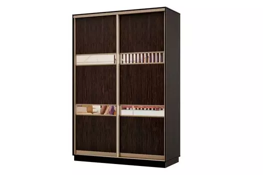 Шкаф-купе 2-дверный Практик МИНИ