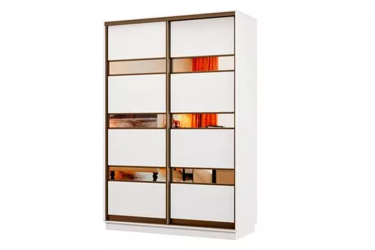 Шкаф-купе 2-дверный Практик МИНИ