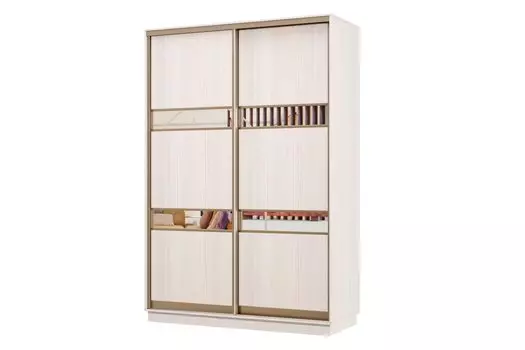 Шкаф-купе 2-дверный Практик МИНИ