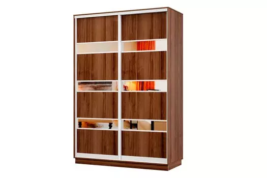 Шкаф-купе 2-дверный Практик МИНИ