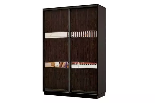 Шкаф-купе 2-дверный Практик МИНИ