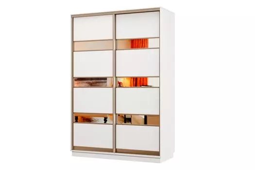 Шкаф-купе 2-дверный Практик МИНИ