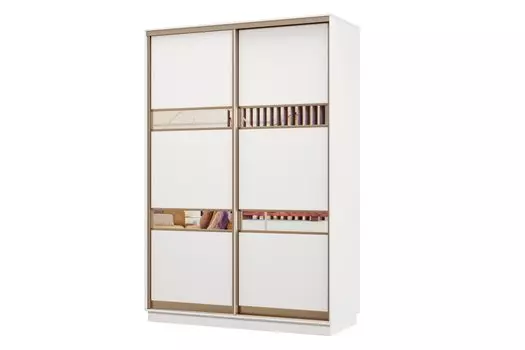 Шкаф-купе 2-дверный Практик МИНИ