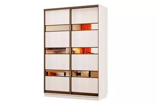 Шкаф-купе 2-дверный Практик МИНИ