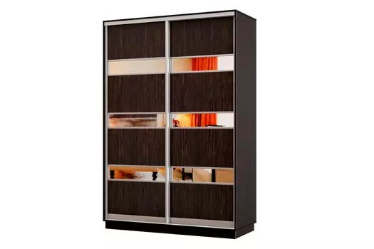 Шкаф-купе 2-дверный Практик МИНИ