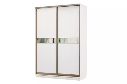 Шкаф-купе 2-дверный Практик МИНИ