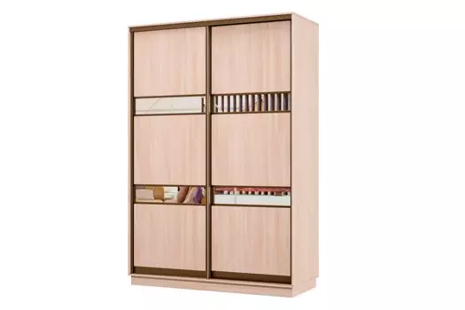 Шкаф-купе 2-дверный Практик МИНИ