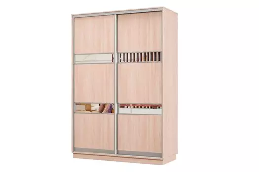 Шкаф-купе 2-дверный Практик МИНИ