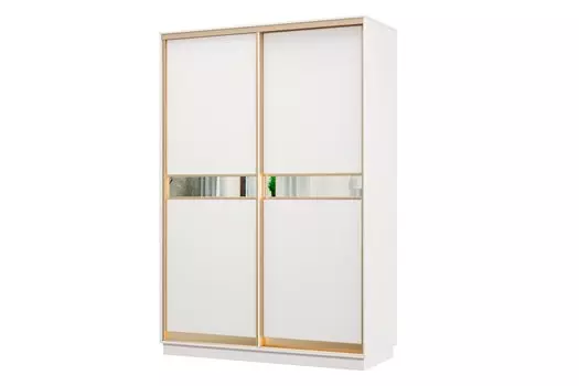 Шкаф-купе 2-дверный Практик МИНИ