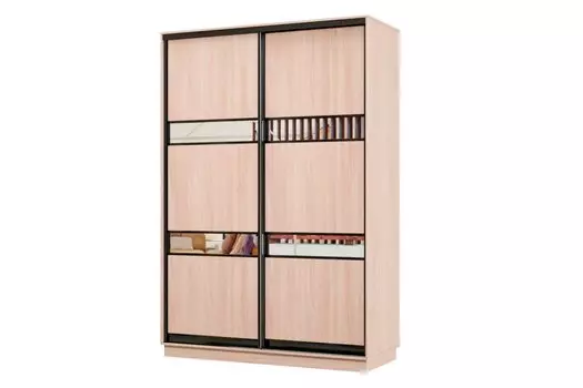 Шкаф-купе 2-дверный Практик МИНИ