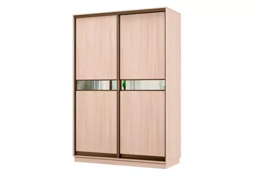 Шкаф-купе 2-дверный Практик МИНИ